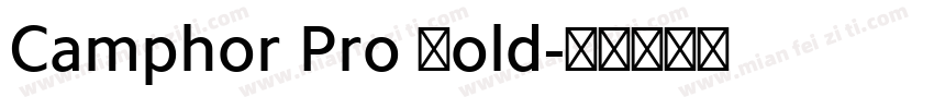 Camphor Pro Bold字体转换